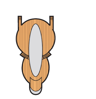 deck image